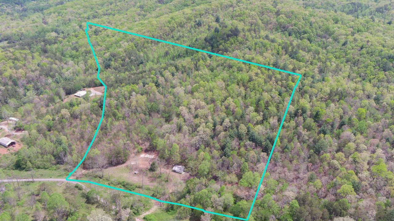 385 Elrod Circle - Photo 1