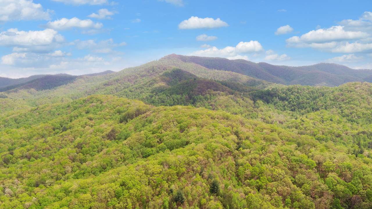 https://bt-photos.global.ssl.fastly.net/rivercounties/1280_boomver_1_20251902-2.jpg
