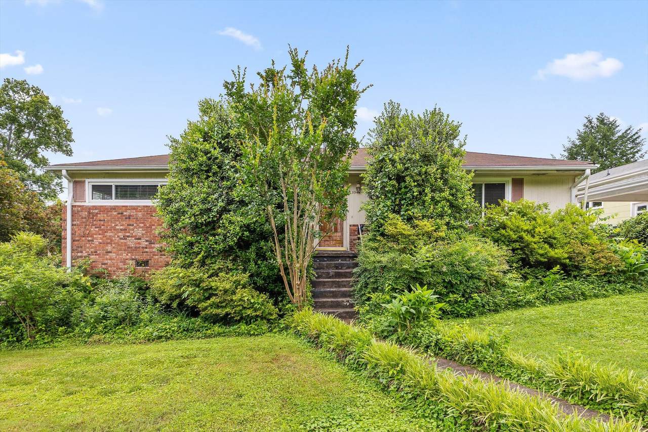 3944 Azalean Drive - Photo 1