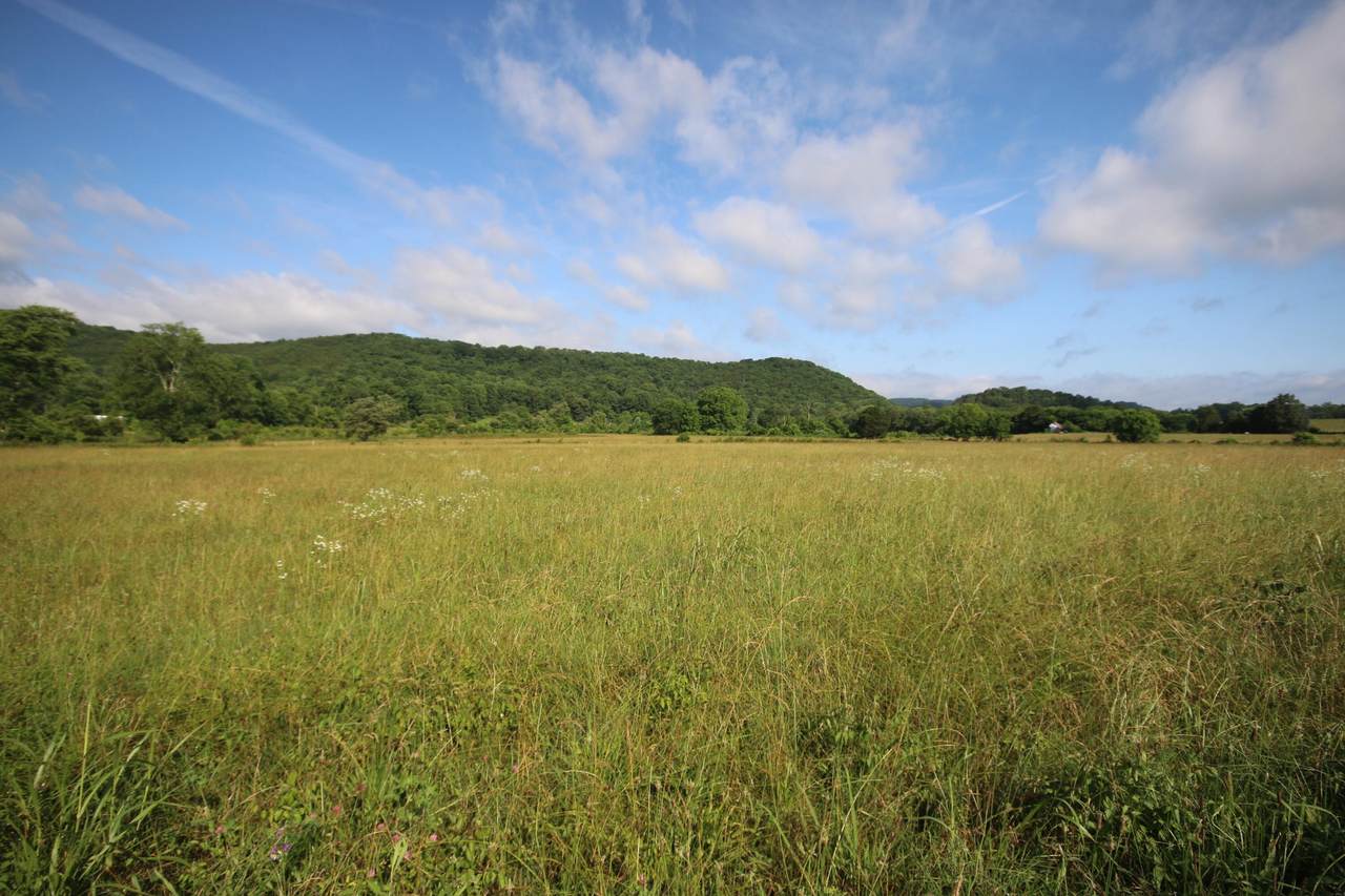 110 Acres Bivens Rd. - Photo 1