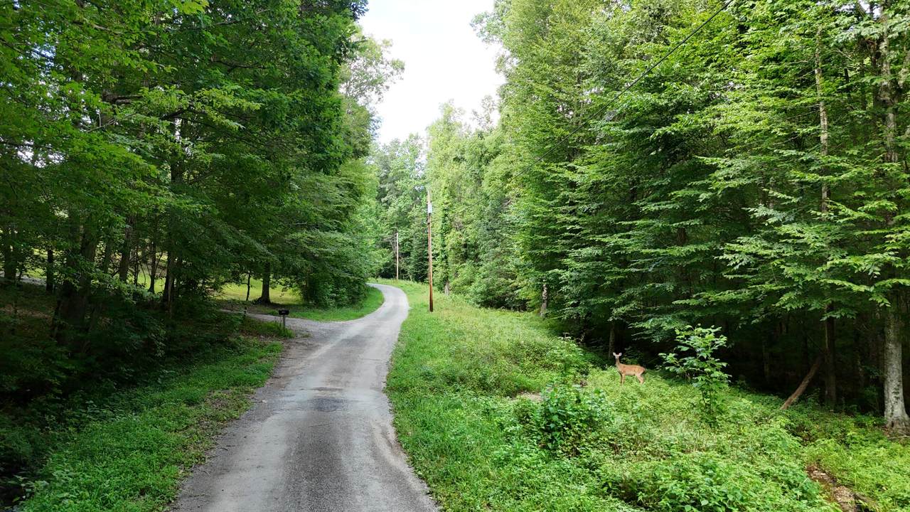 https://bt-photos.global.ssl.fastly.net/rivercounties/1280_boomver_1_20252892-2.jpg