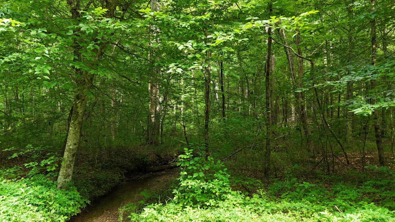 https://bt-photos.global.ssl.fastly.net/rivercounties/1280_boomver_1_20252892-2.jpg