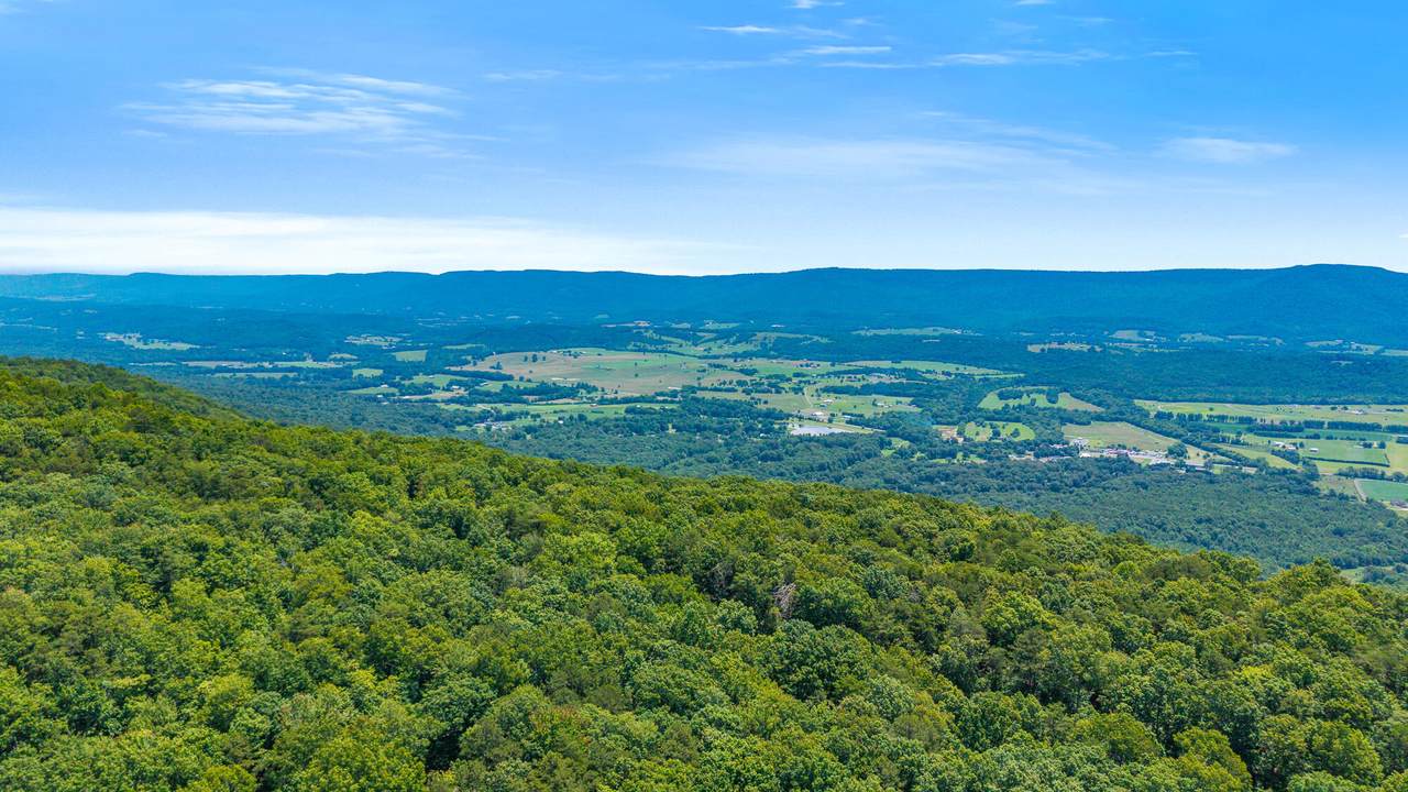 59.73 Ac Windridge Drive - Photo 1