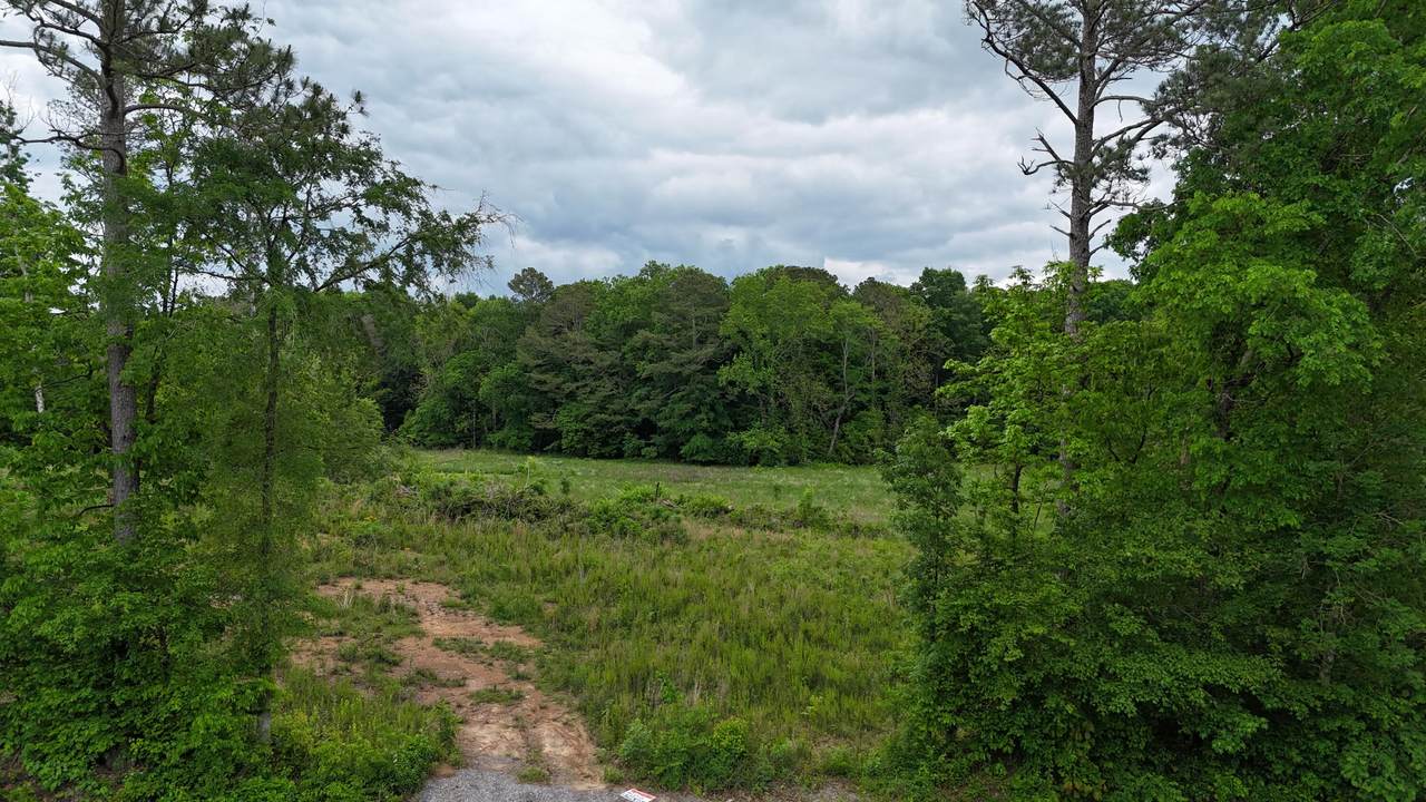 0 Bates Pike - Photo 1