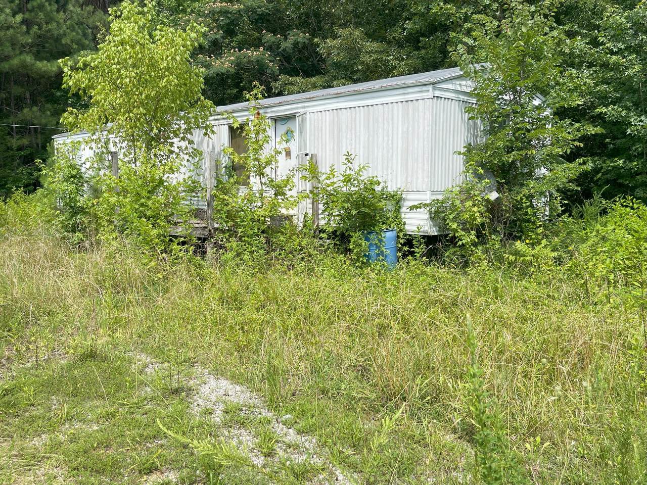 286 County Road 285 - Photo 1