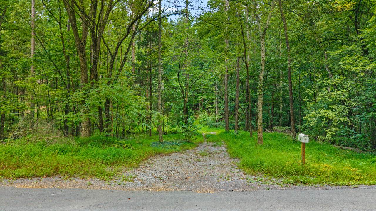 506 Butler Road - Photo 1