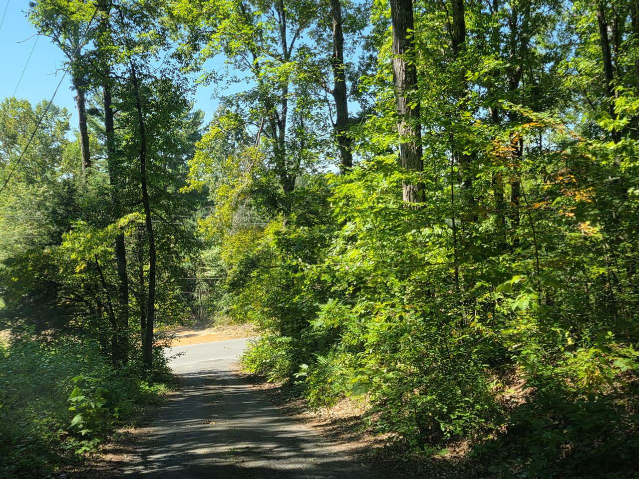 2742 Michigan Ave Road - Photo 1