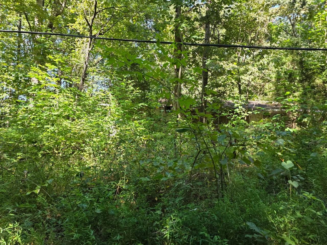 https://bt-photos.global.ssl.fastly.net/rivercounties/1280_boomver_1_20254088-2.jpg