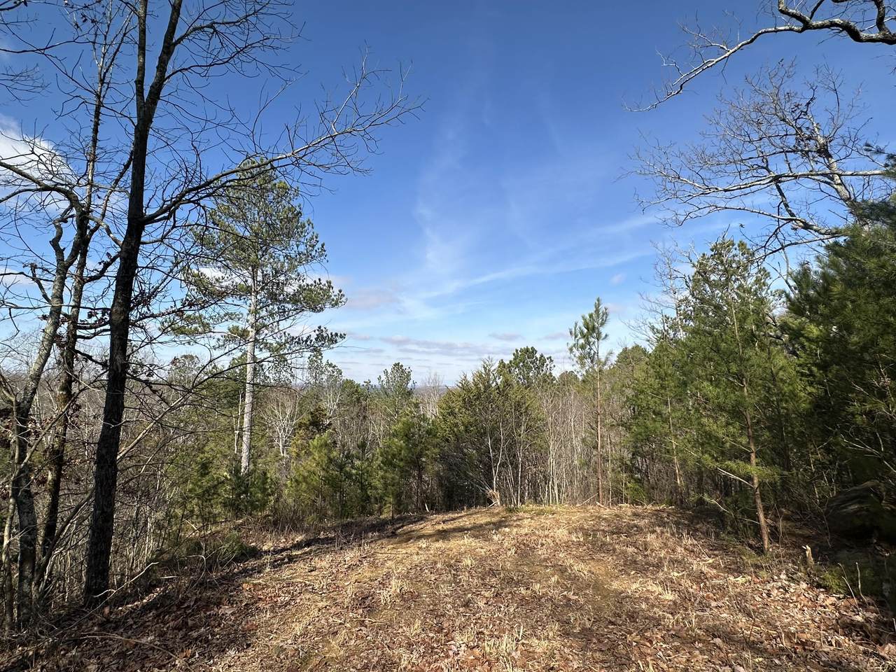125 Fox Trail Drive - Photo 1