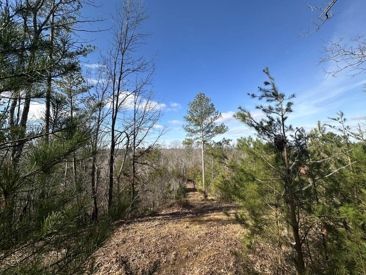 https://bt-photos.global.ssl.fastly.net/rivercounties/1280_boomver_1_20254098-2.jpg
