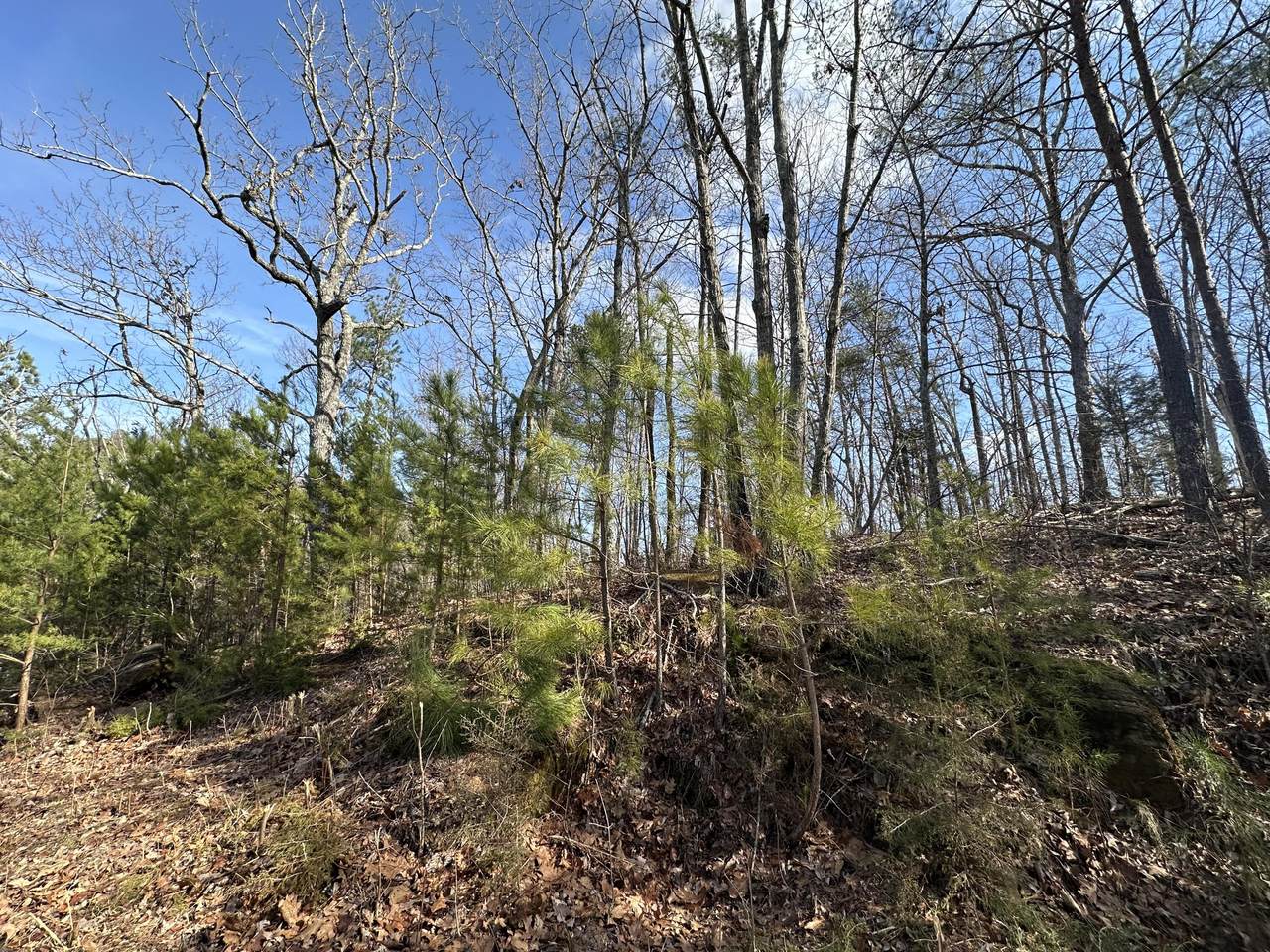 https://bt-photos.global.ssl.fastly.net/rivercounties/1280_boomver_1_20254098-2.jpg