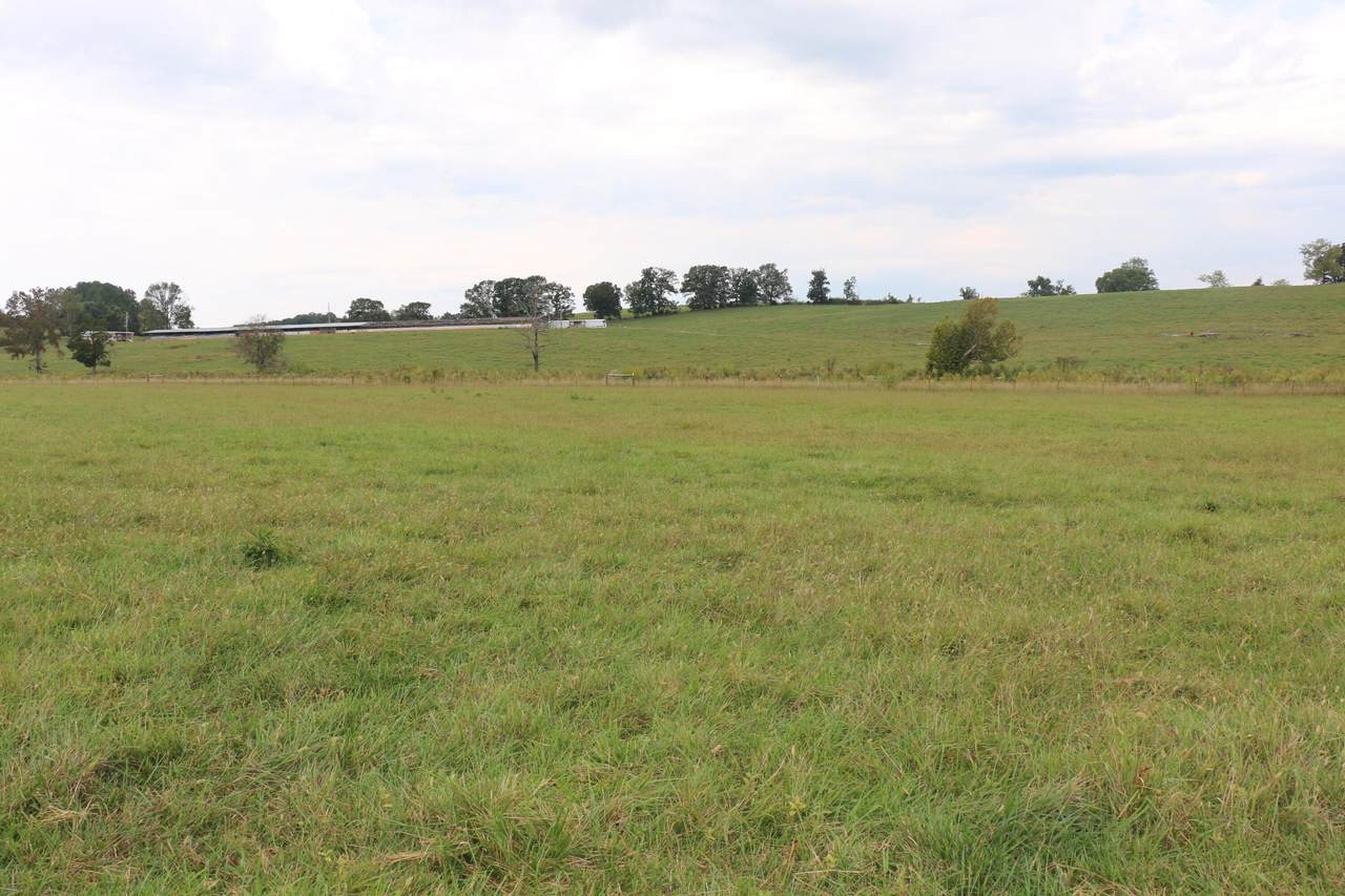 Lot 3r County Road 461 - Photo 1