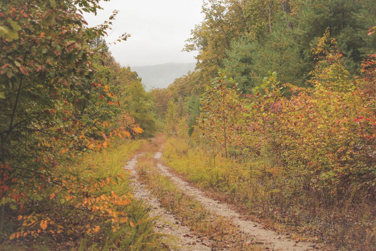 0 Green Ridge Trail - Photo 1