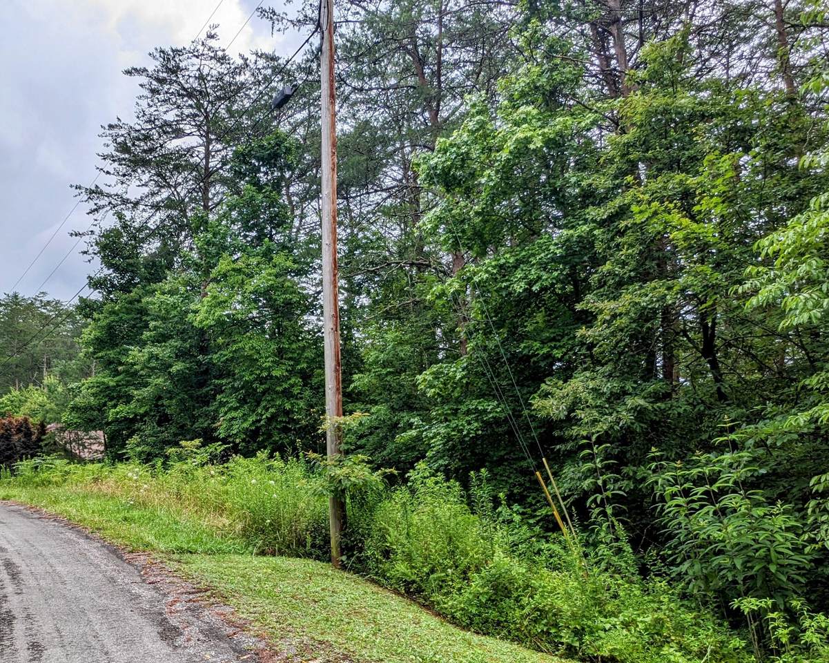 https://bt-photos.global.ssl.fastly.net/rivercounties/1280_boomver_1_20254951-2.jpg