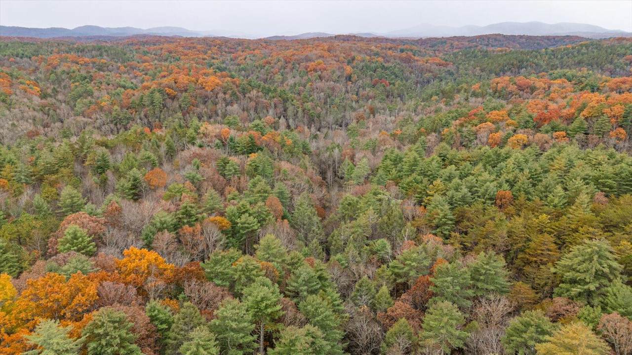 138 Bowater Road - Photo 1