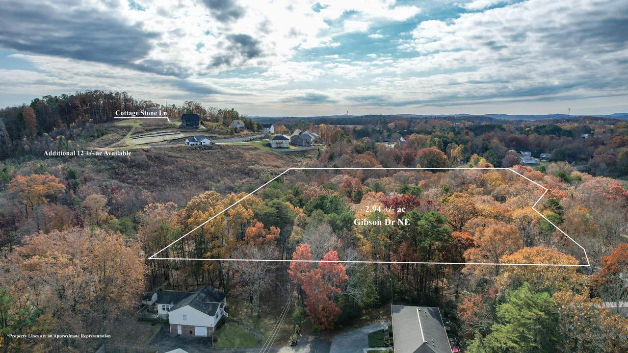 3800 Gibson Drive - Photo 1