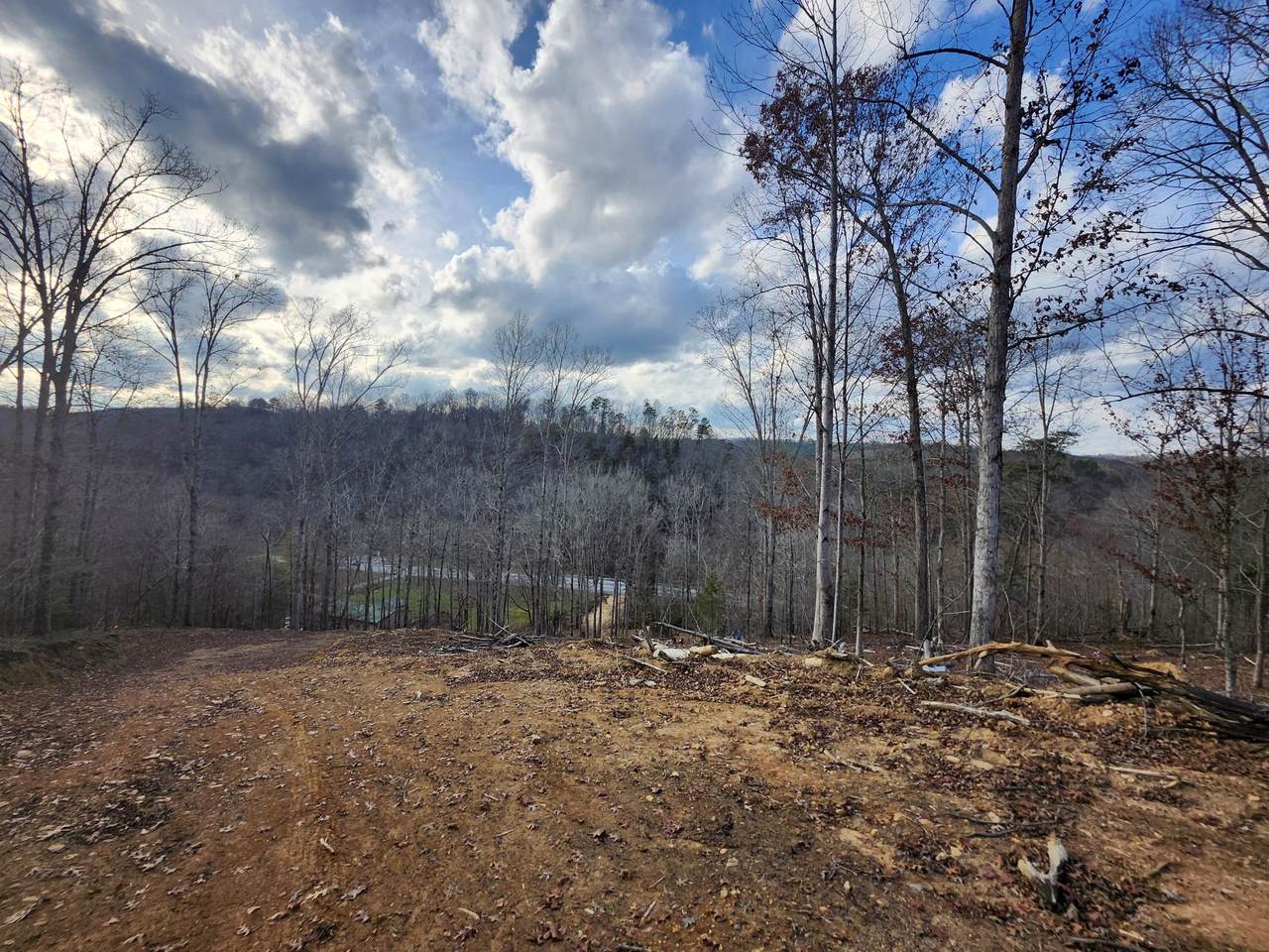 0 Harrison Pike - Photo 1