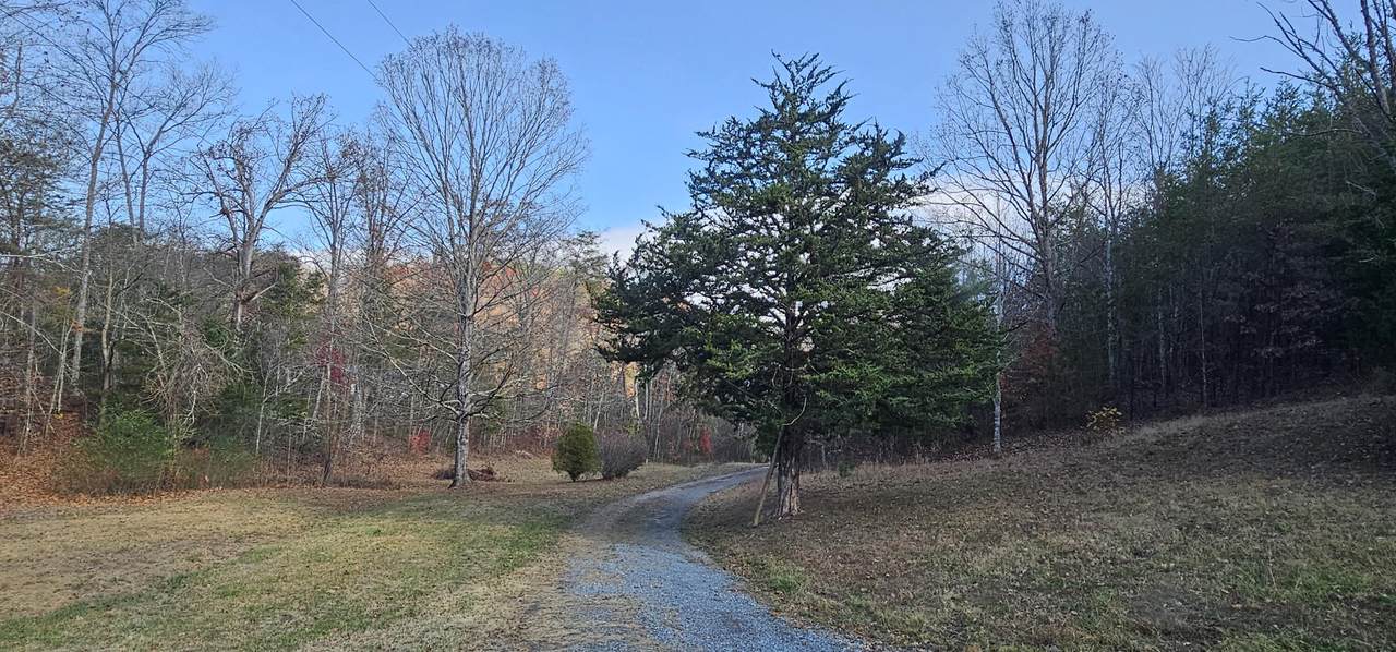 1328 Highway 310 - Photo 1