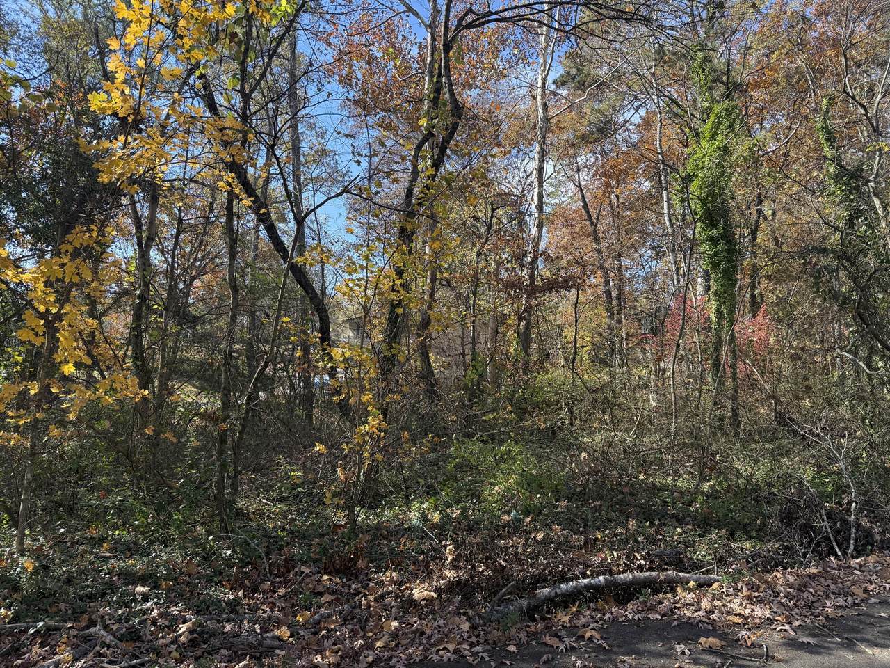 Lot 5 18th Street - Photo 1