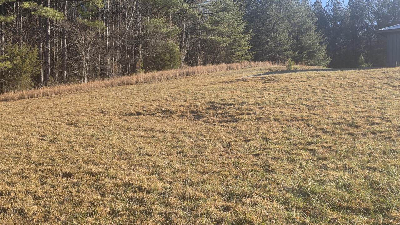 122 White Water Run Lane - Photo 1