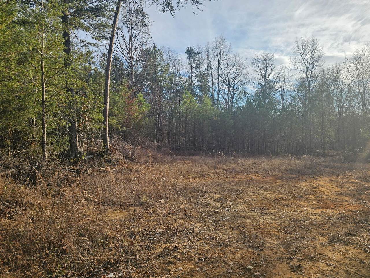 https://bt-photos.global.ssl.fastly.net/rivercounties/1280_boomver_1_20255864-2.jpg