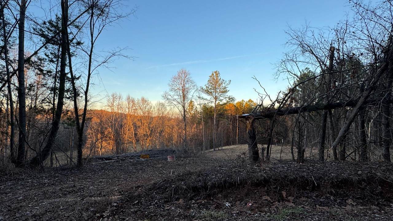 2100 Cottonport Ridge Road - Photo 1