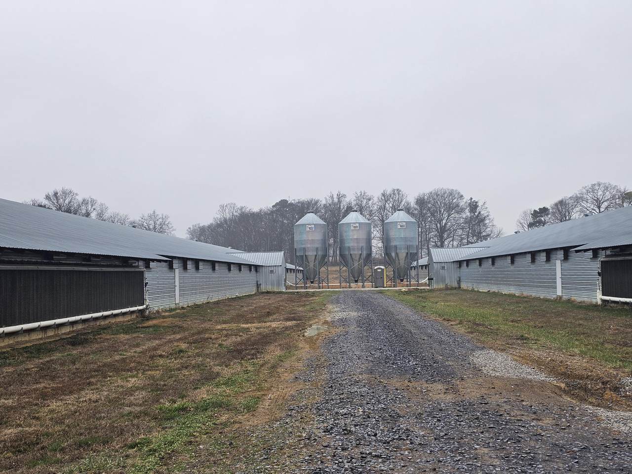 313 Ed Cross Road - Photo 1