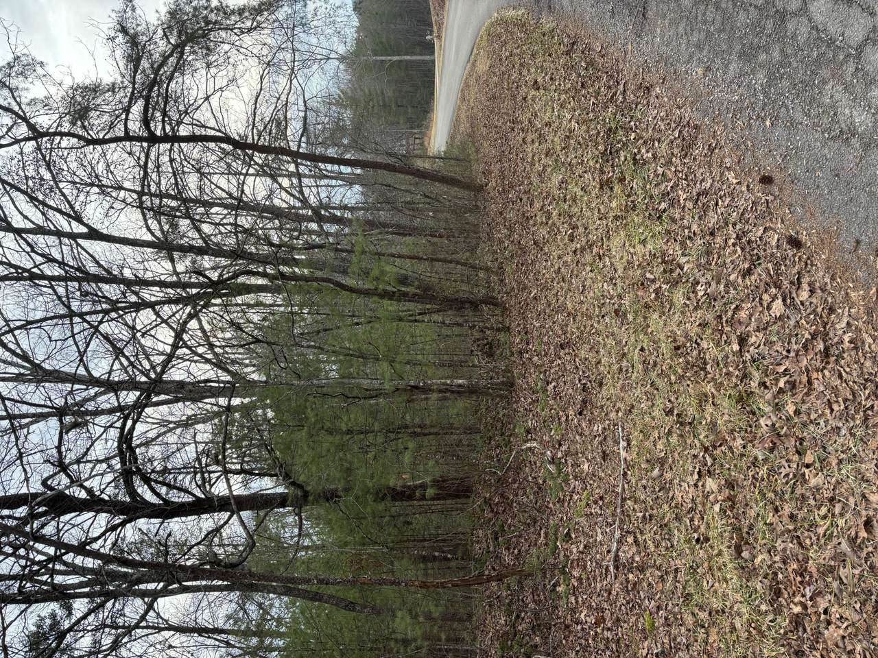 0 Maple Springs Road - Photo 1