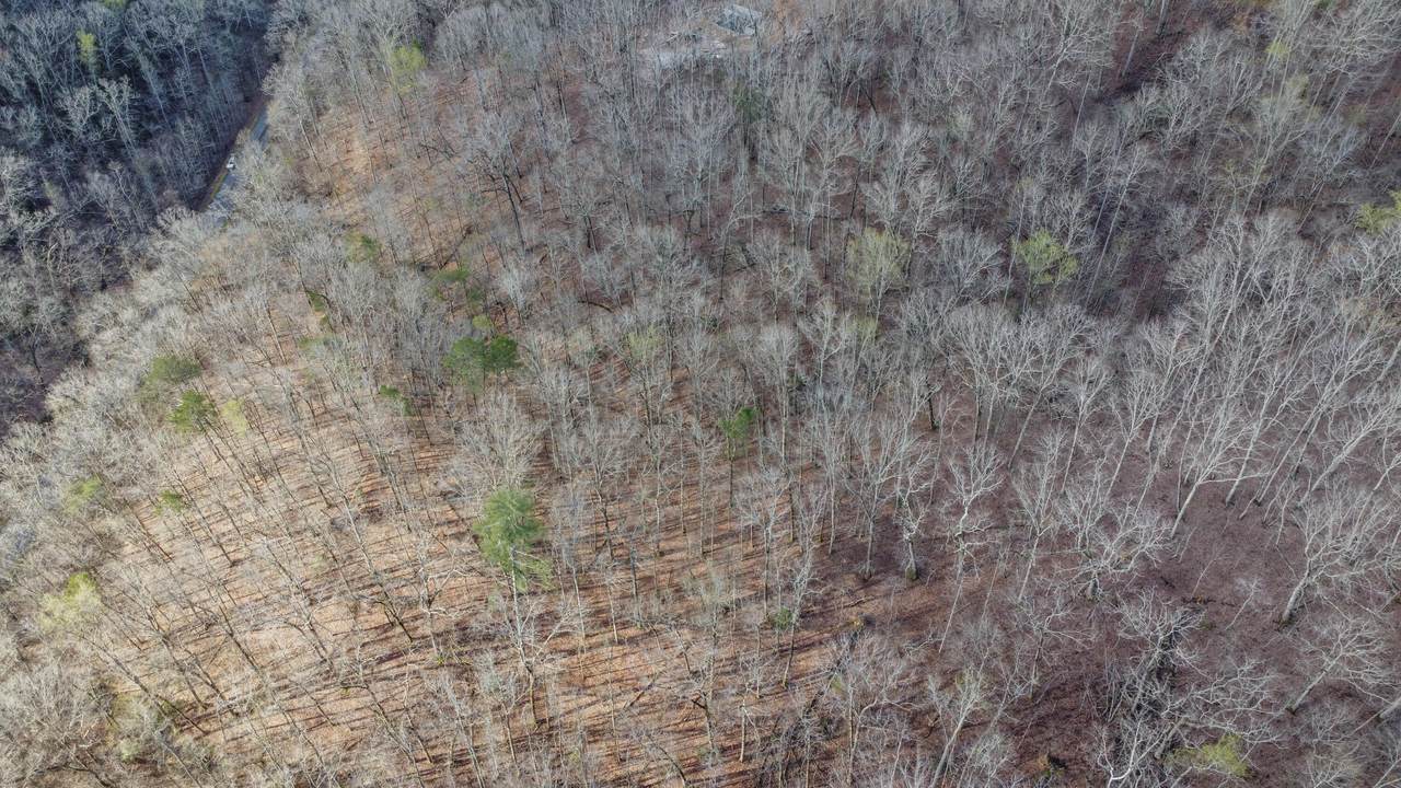 https://bt-photos.global.ssl.fastly.net/rivercounties/1280_boomver_1_20261434-2.jpg