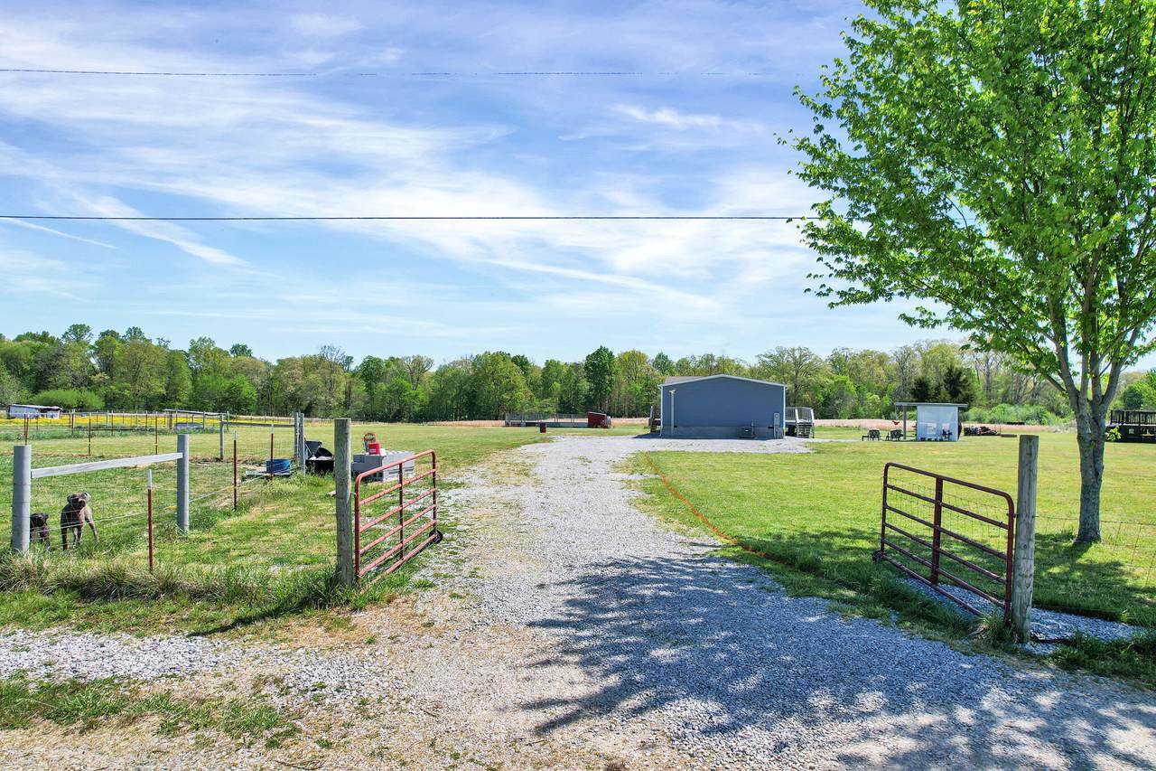 330 Blueberry Acres - Photo 1