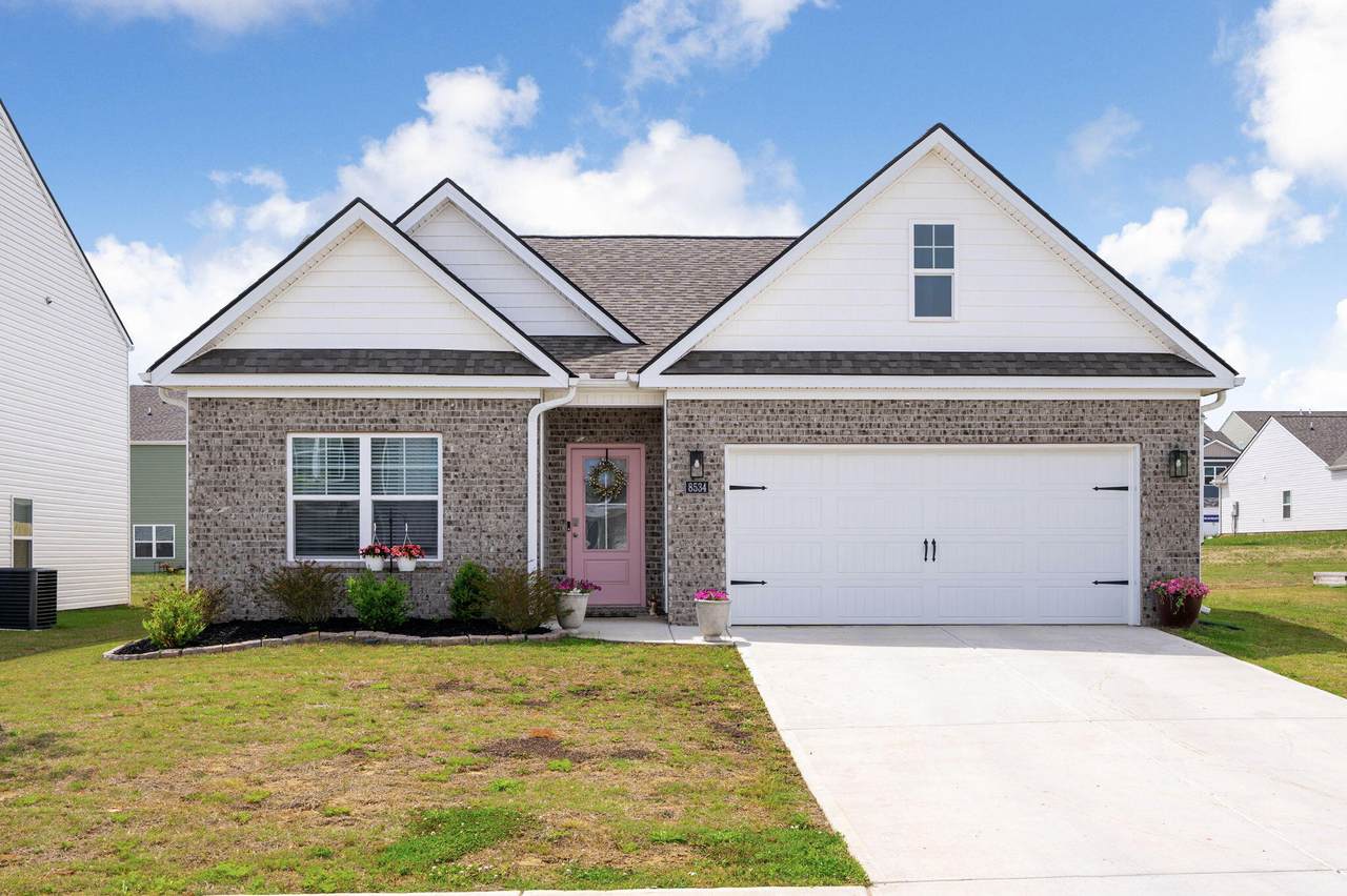 8534 Dewberry Drive - Photo 1