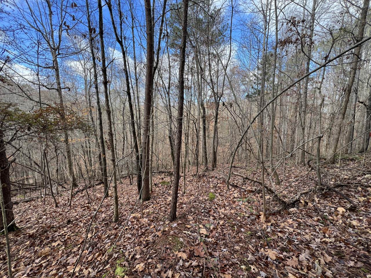 0 Smyrna Road - Photo 1