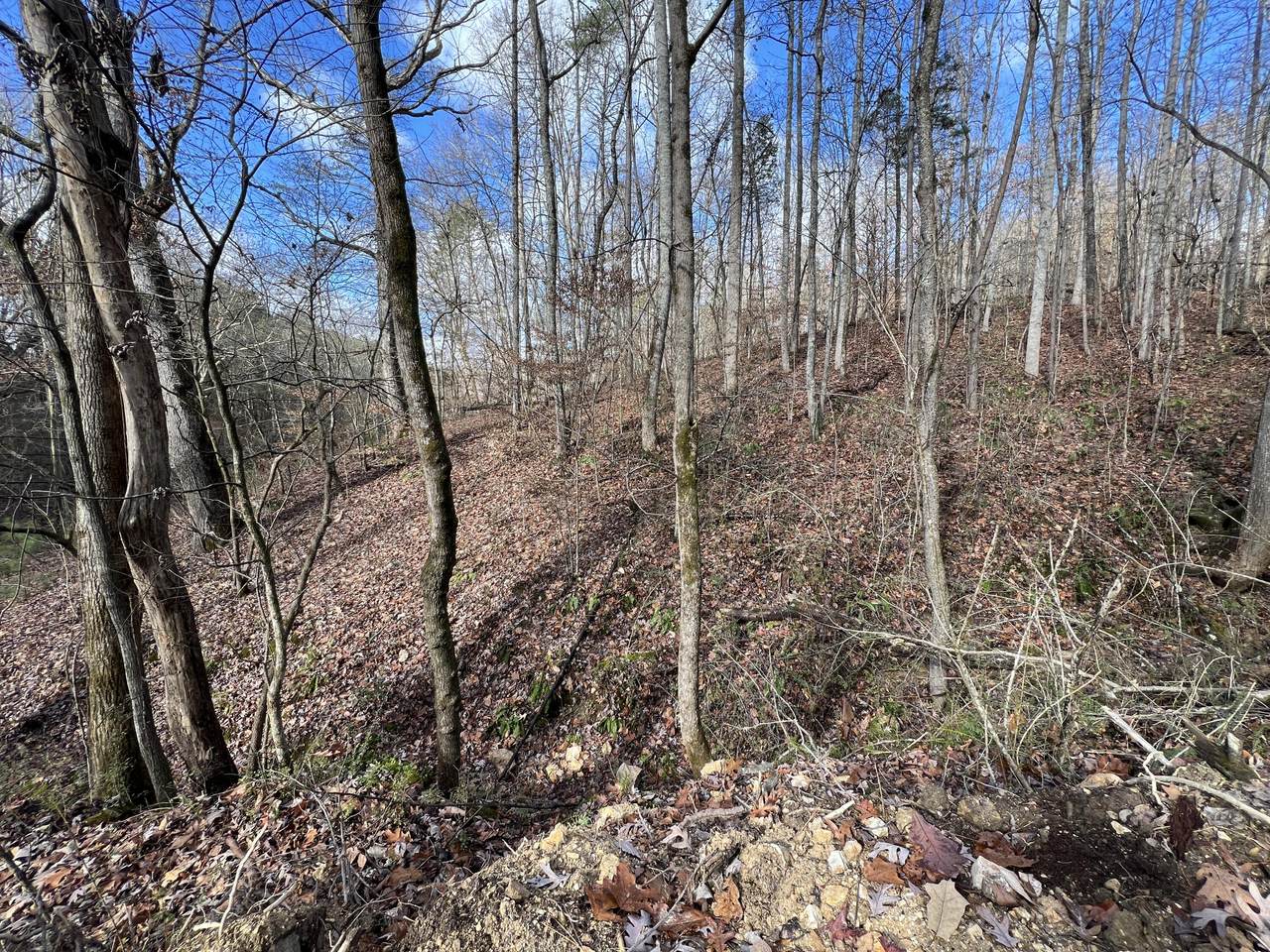 https://bt-photos.global.ssl.fastly.net/rivercounties/1280_boomver_1_20262776-2.jpg