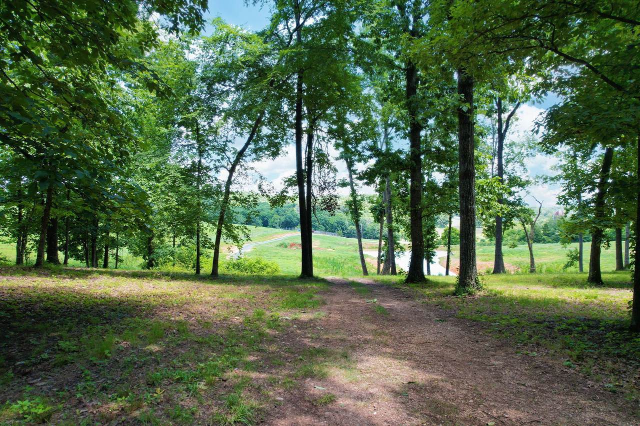 https://bt-photos.global.ssl.fastly.net/rivercounties/1280_boomver_1_20263141-2.jpg