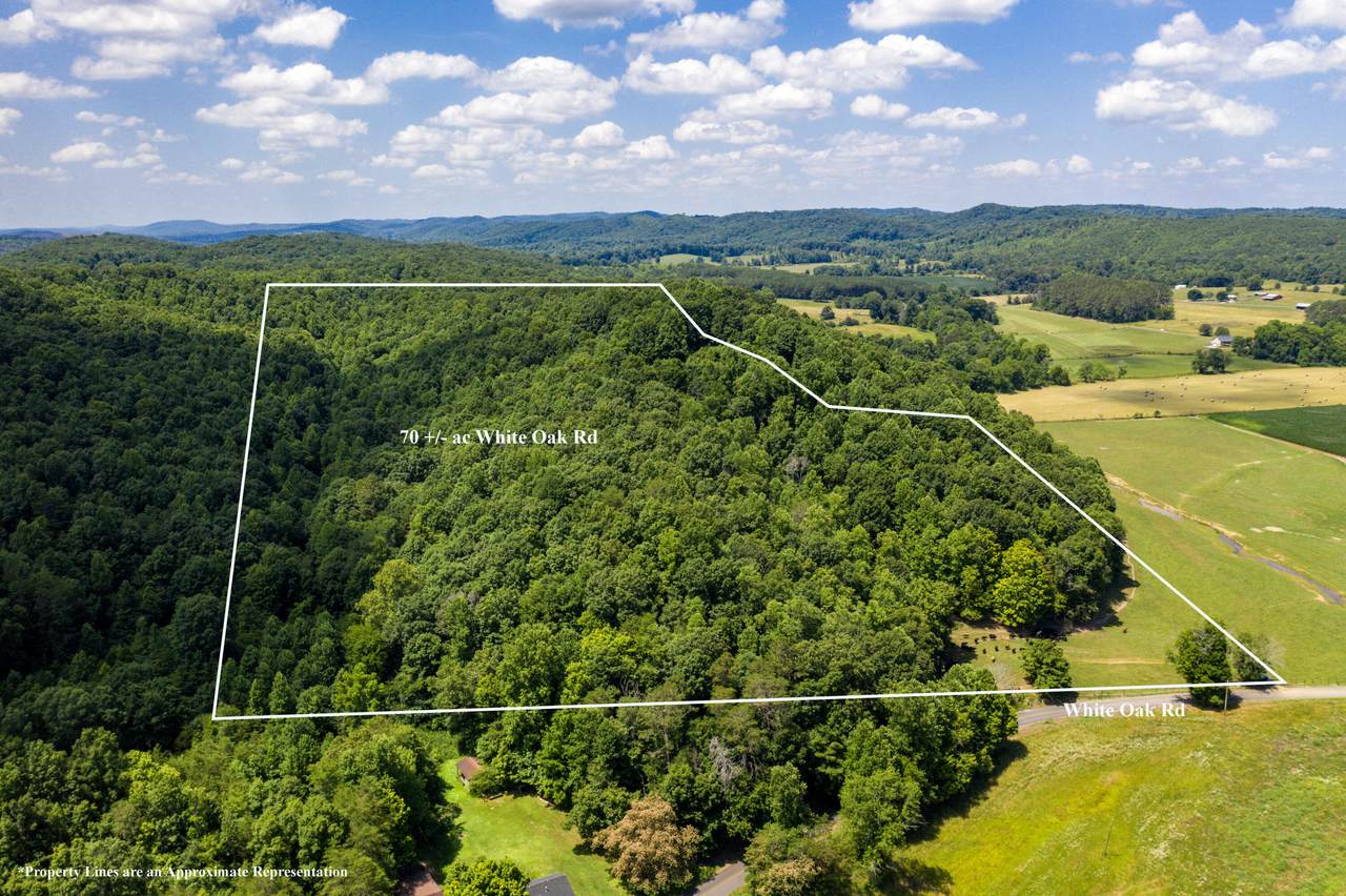 1636 White Oak Road - Photo 1