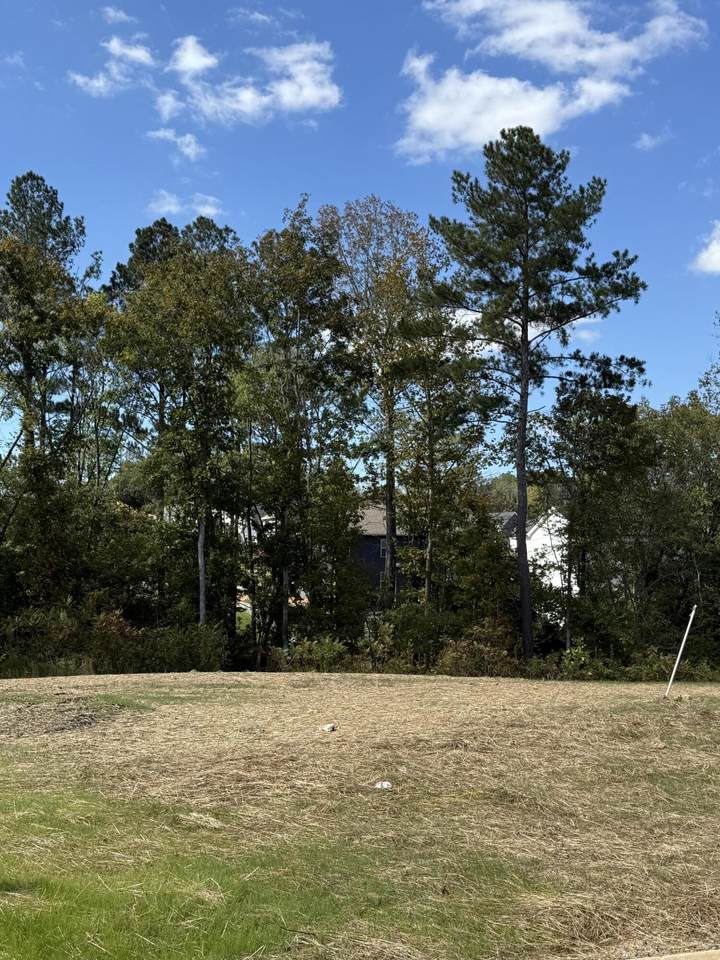Lot 1 Creekwood - Photo 1
