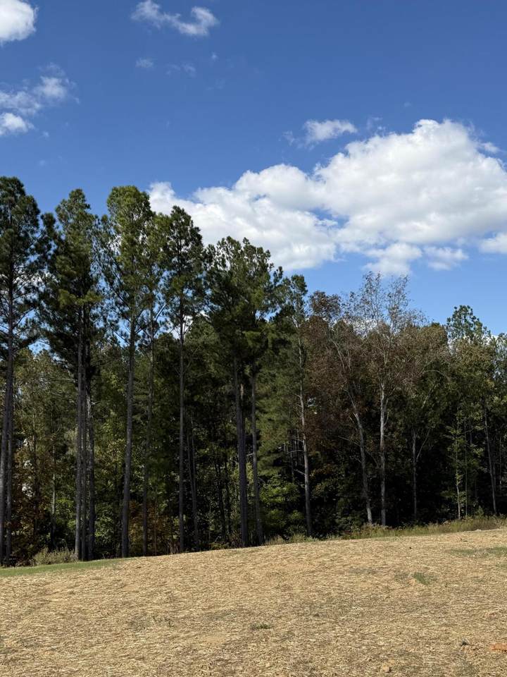 Lot 6 Creekwood - Photo 1