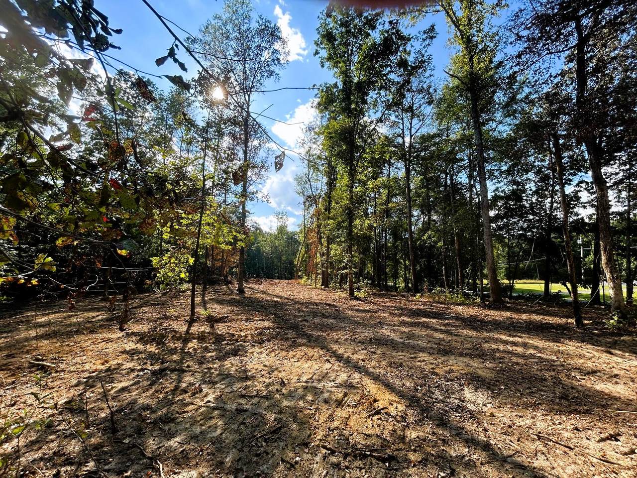 Tract 2 Pleasant Hill Road - Photo 1
