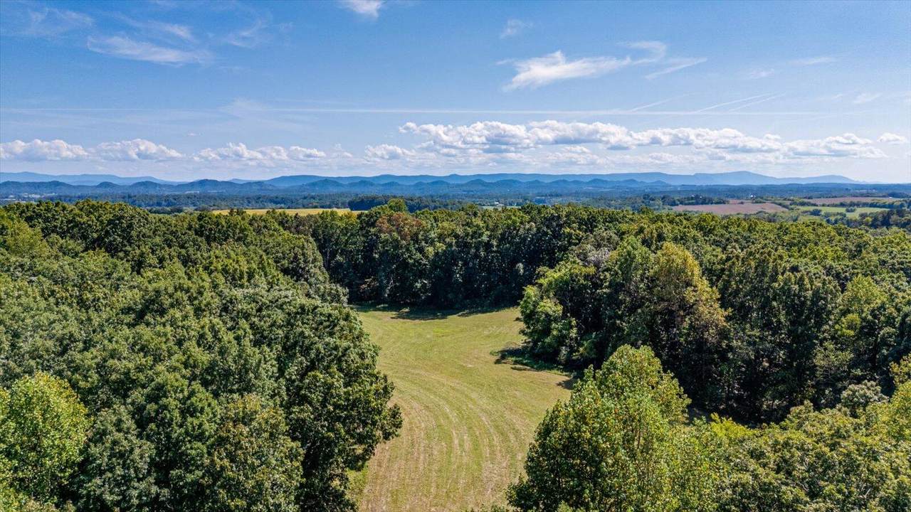 348 County Road 405 _ 49.9 Acres - Photo 1