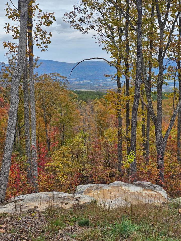 https://bt-photos.global.ssl.fastly.net/rivercounties/1280_boomver_2_20254711-2.jpg