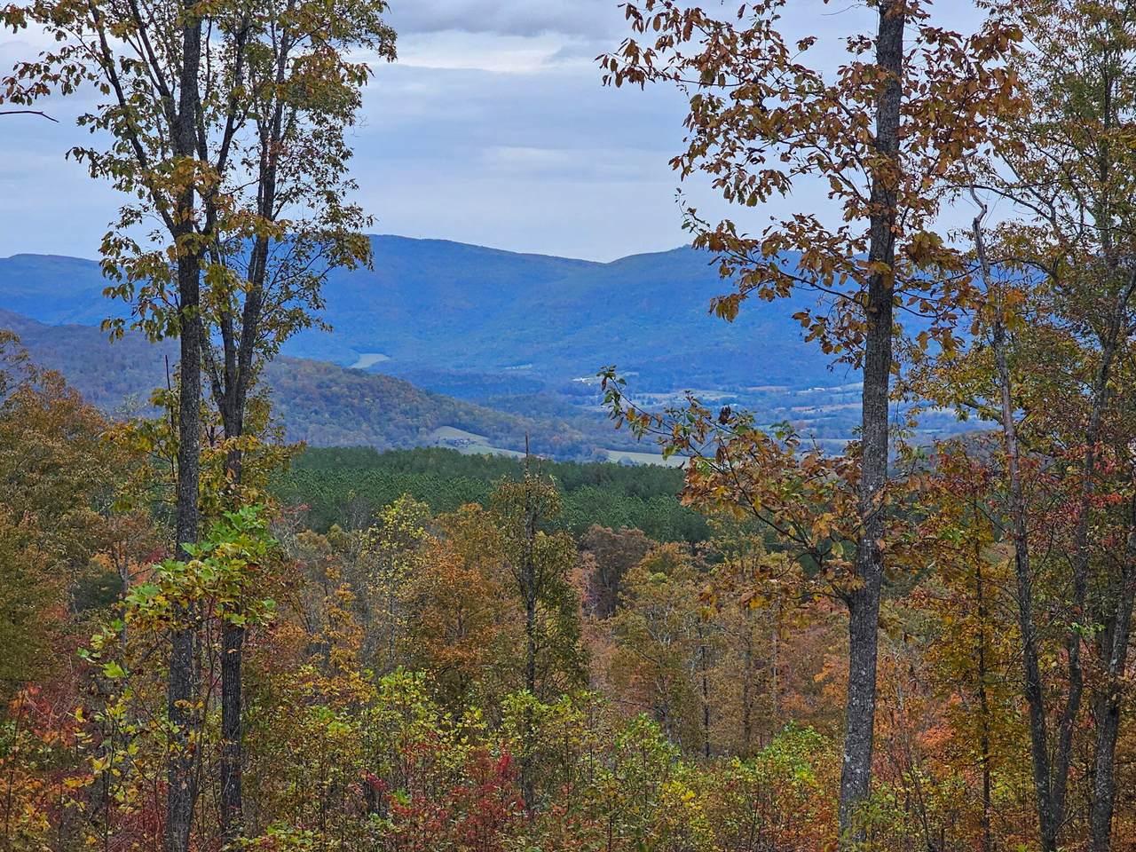 https://bt-photos.global.ssl.fastly.net/rivercounties/1280_boomver_2_20254711-2.jpg
