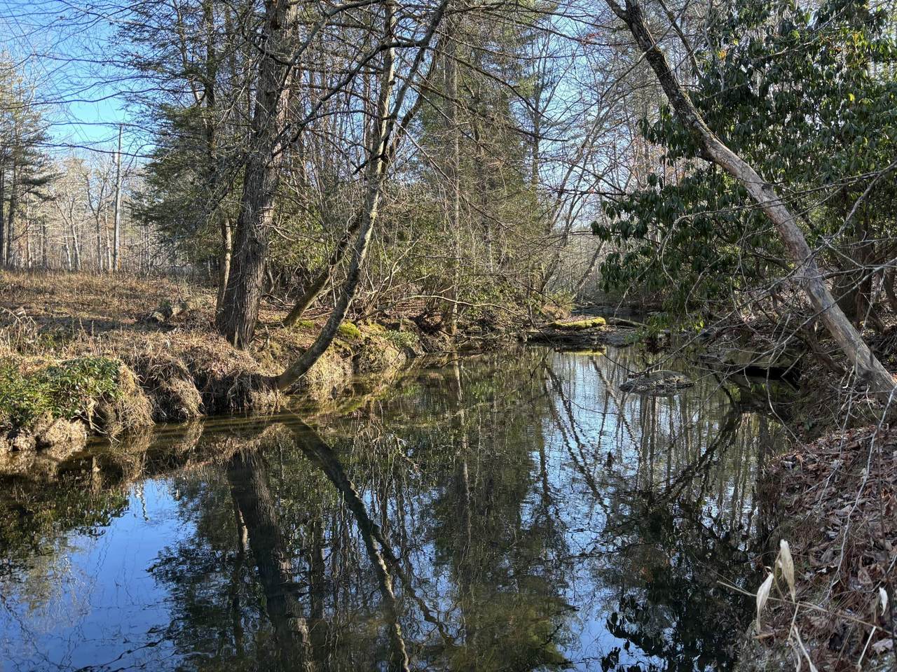 0 Ridgevale Lane - Photo 1