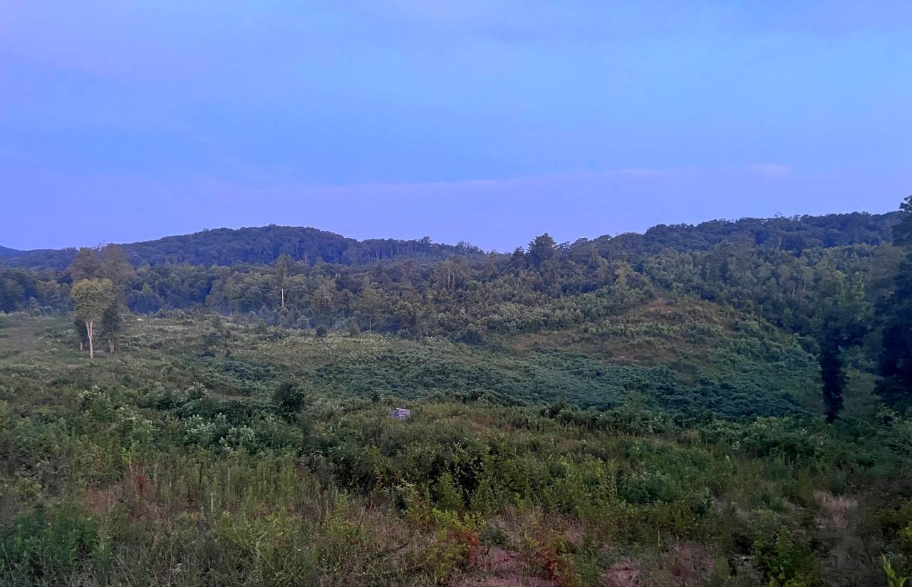 https://bt-photos.global.ssl.fastly.net/rivercounties/1280_boomver_3_20241912-2.jpg