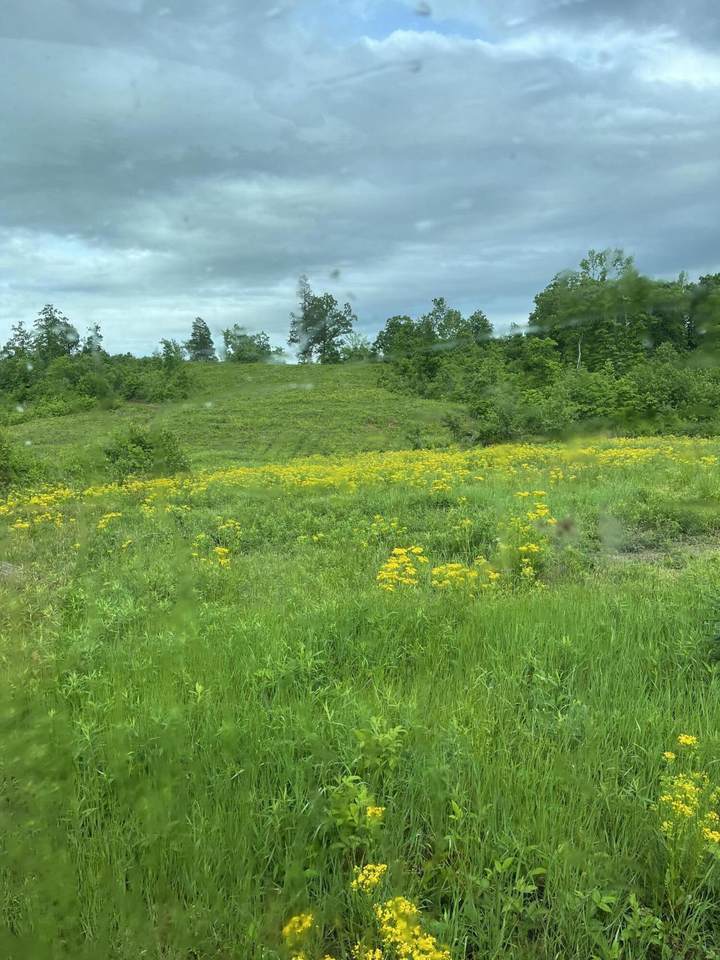 https://bt-photos.global.ssl.fastly.net/rivercounties/1280_boomver_3_20241912-2.jpg