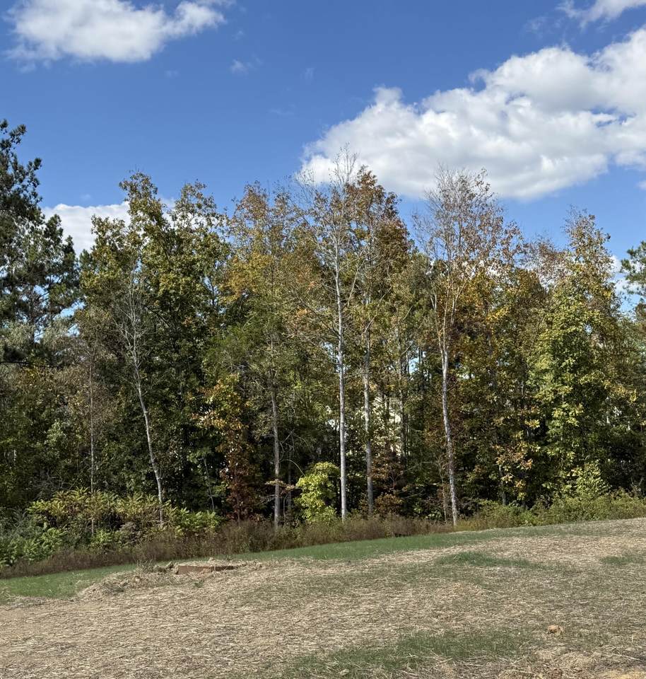 Lot 3 Creekwood - Photo 1