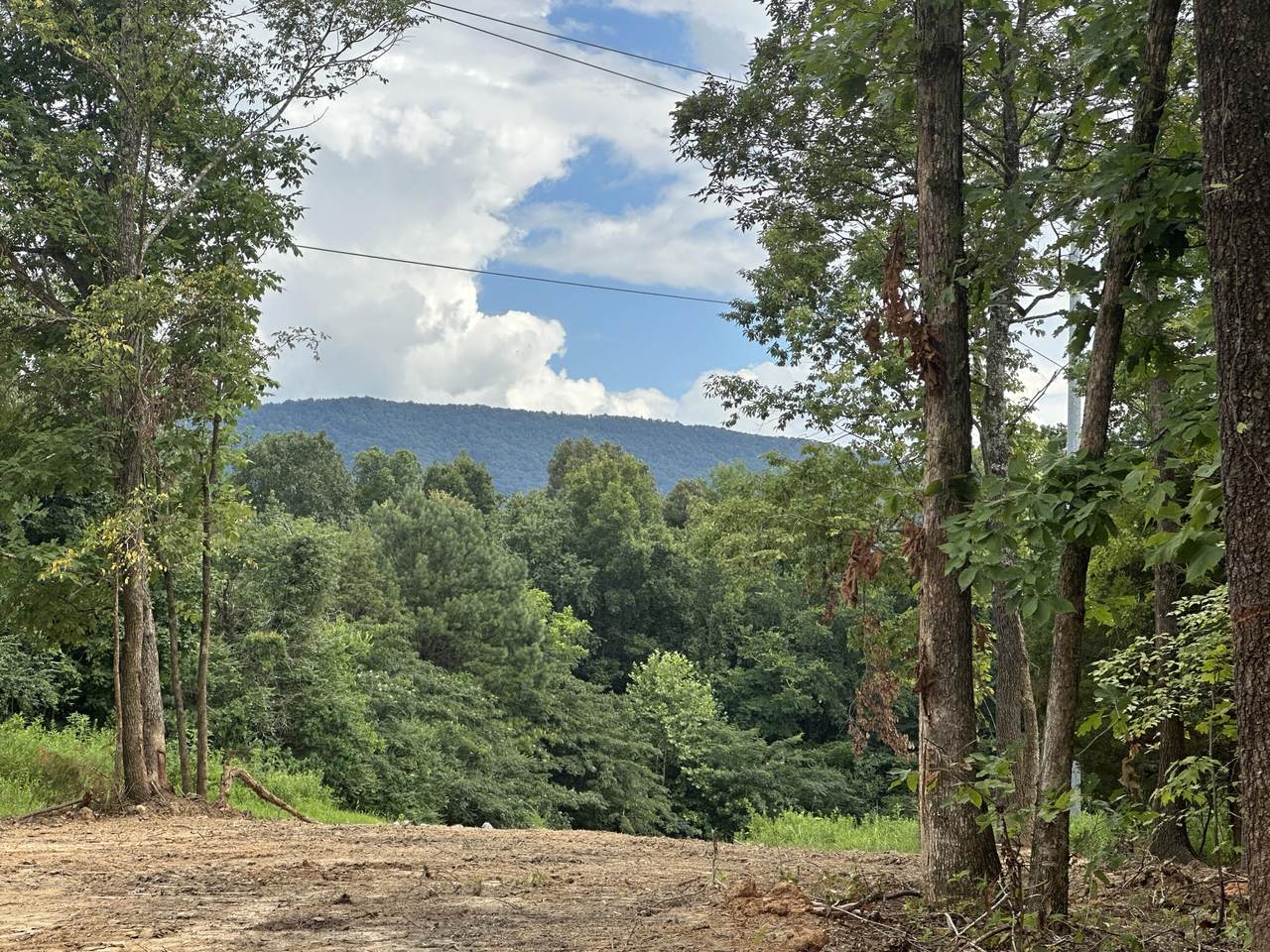 Tract 4 County Road 897 - Photo 1