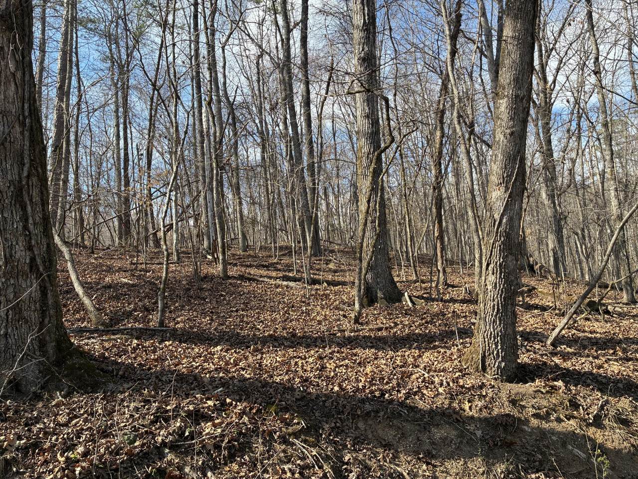 0 Eagle Point Drive Lot 8 - Photo 1