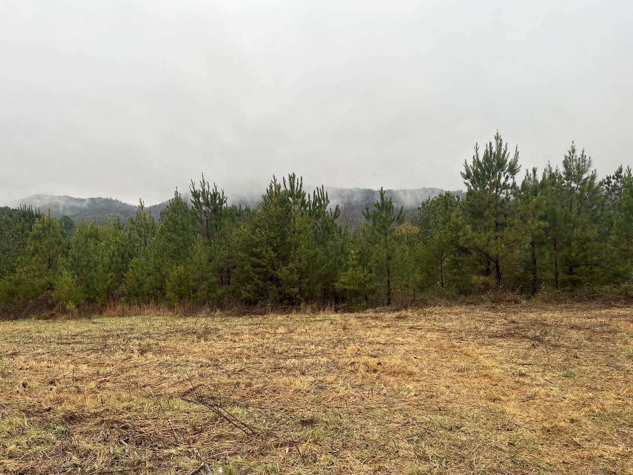 https://bt-photos.global.ssl.fastly.net/rivercounties/1280_boomver_3_20254958-2.jpg
