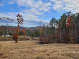 531 Horns Creek Road - Photo 56