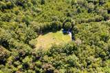 1125 Scenic River Road 71.67 Acres - Photo 11